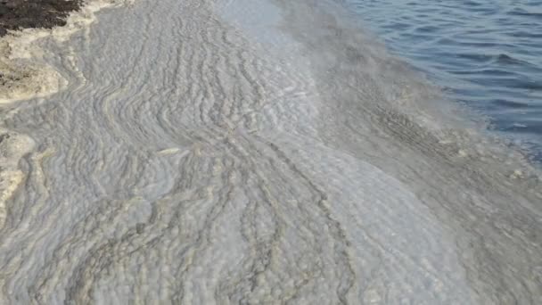 Espuma Sucia Agua Cerca Orilla Contaminación Del Mar Océano Problemas — Vídeos de Stock