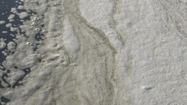 Espuma Sucia Agua Cerca Orilla Contaminación Del Mar Océano Problemas — Vídeo de stock