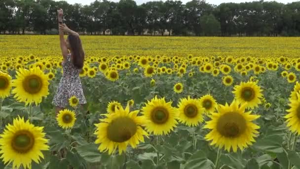 Menina Entre Girassóis Florescendo — Vídeo de Stock