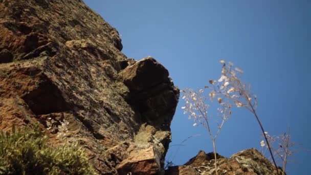 Rochers Granit Recouverts Lichens Près Rivière Bug Sud Ukraine — Video