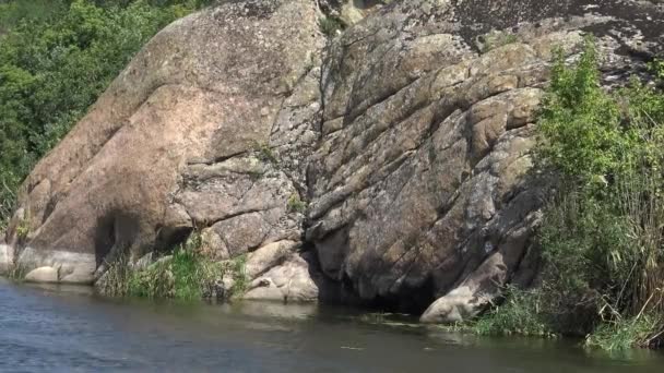 Granite Rocks Rapids Water Green Forest Banks Southern Bug River — Stock Video