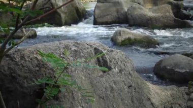 Granit rapids ve Güney Bug Nehri, Ukrayna üzerinde hızla akan su ile rapids