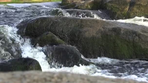 南バグ川 ウクライナの急速に流れる水と花崗岩の急流と急流 — ストック動画