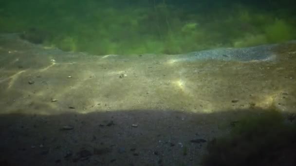 Onderwater Landschap Verblinding Reflectie Van Zonnestralen Zeebodem Zeewier Achtergrond Zwarte — Stockvideo