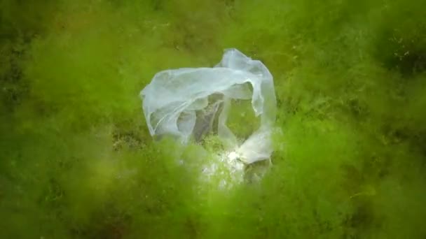 Basura Plástica Mar Océano Naturaleza Mar Negro — Vídeos de Stock