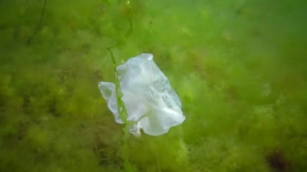 Denizde Okyanusta Vahşi Doğada Plastik Çöpler Karadeniz — Stok video