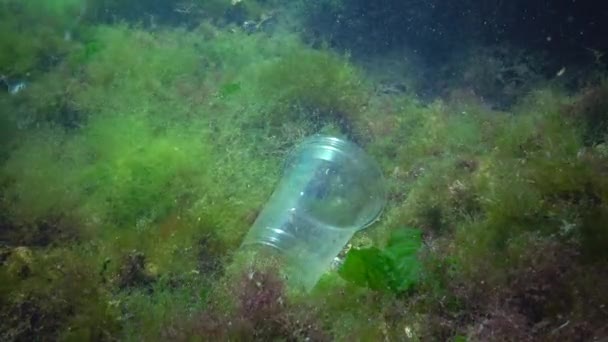 Lixo Plástico Mar Oceano Natureza Mar Negro — Vídeo de Stock