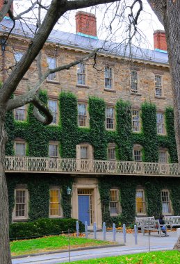 Princeton, NJ -15 Kasım 2011: Princeton Üniversitesi, ABD 'nin New Jersey şehrinde bulunan özel bir üniversitedir.