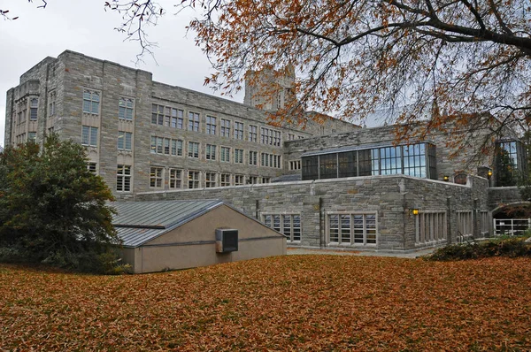 Princeton Novembro 2011 Universidade Princeton Uma Universidade Privada Ivy League — Fotografia de Stock