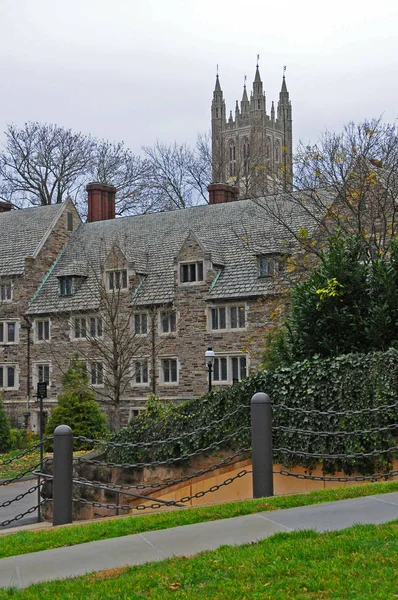 Princeton Novembre 2011 Princeton University Università Privata Ivy League Nel — Foto Stock