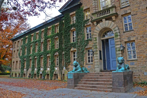 Princeton November 2011 Bronze Tiger Front Nassau Hall Princeton University — Stock Photo, Image