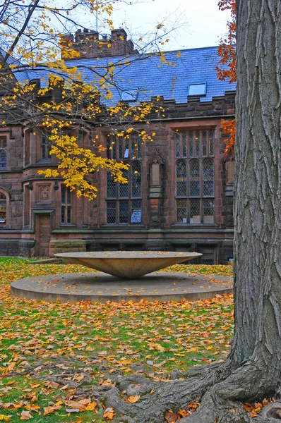 Princeton Novembro 2011 Universidade Princeton Uma Universidade Privada Ivy League — Fotografia de Stock