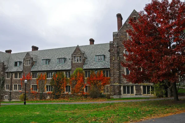 Princeton November 2011 Princeton University Private Ivy League University New — 图库照片