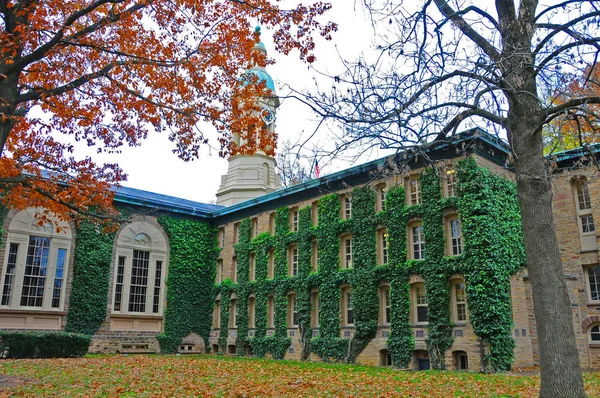 Princeton November 프린스턴 대학교 Princeton University 뉴저지 아이비리그 대학교이다 — 스톡 사진