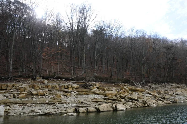 テネシー州の森林湖の海岸 海岸の層状の石 アメリカ — ストック写真
