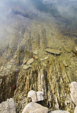 ABD 'nin Tennessee eyaletindeki bir orman gölünün kıyısındaki katmanlı taşlar.