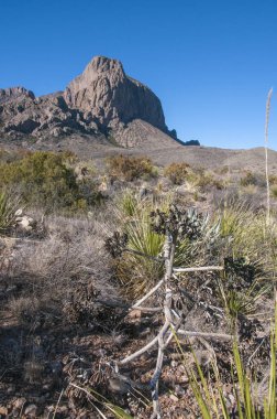 Big bend Milli Parkı