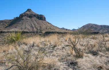 Çöl manzarası, Teksas 'taki Big Bend Ulusal Parkı' ndaki volkanik lav dağı. Teksas eyaletinin vahşi yaşamı. Big Bend Ulusal Parkı