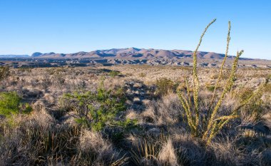 Big bend Milli Parkı