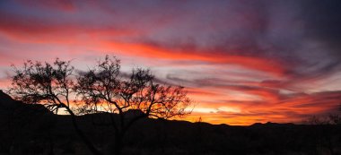 Teksas 'ta taştan çölün üzerinde kırmızı gün batımı, Big Bend Ulusal Parkı