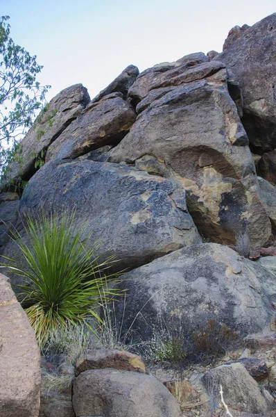 Parque Nacional Big Bend — Foto de Stock