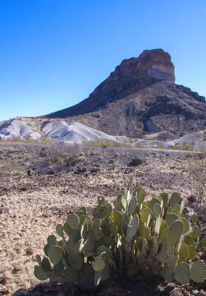 Big bend Milli Parkı