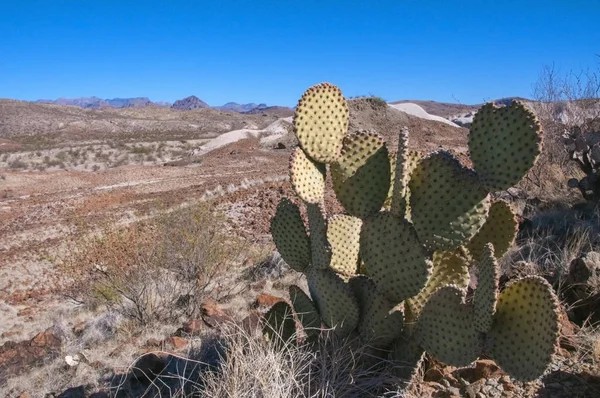 Big bend Milli Parkı