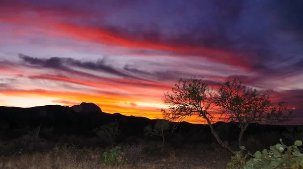 Puesta Sol Roja Sobre Desierto Piedra Texas Parque Nacional Big —  Fotos de Stock