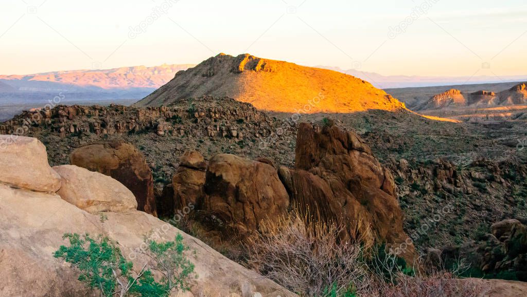 The Red Mountains, the stone desert, in which cacti and other succulents grow in Big Bend National Park in Texas. Wildlife of the state of Texas. Wildlife of the state of Texas. Desert landscape