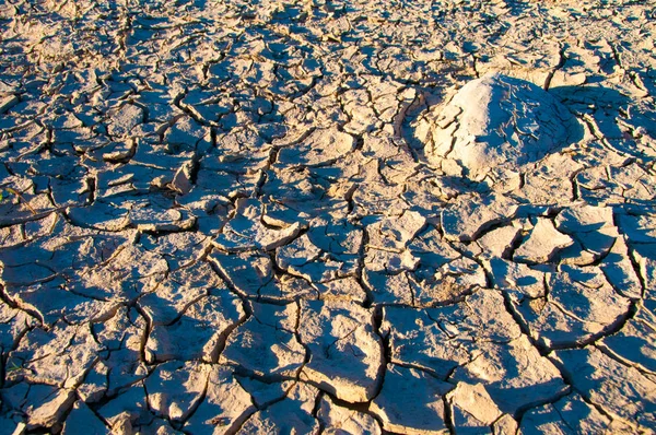 Dried Mud In Texas. Santa Elena Canyon And Rio Grande in Big Bend National Park