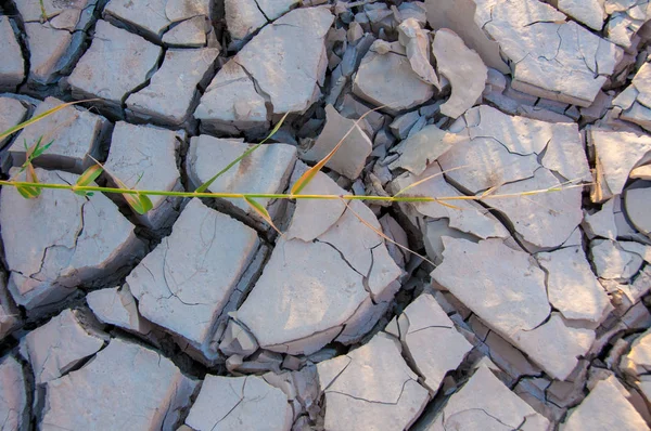 Dried Mud In Texas. Santa Elena Canyon And Rio Grande in Big Bend National Park