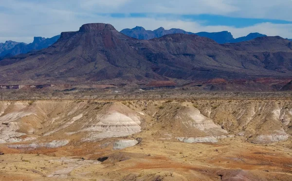 Taş çöl, Teksas 'taki dağlarda çöl manzarası Big Bend Ulusal Parkı, kaktüs ve çöl bitkileri.