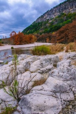 Sonbahar manzarası. Bataklık selvisi ve nehir kıyısı boyunca sarı yapraklı diğer ağaçlar. Teksas, Garner Eyalet Parkı, Usa