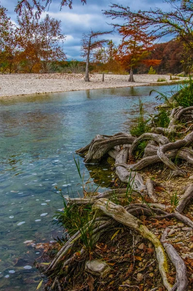 Herbstlandschaft Sumpfzypressen Und Andere Bäume Mit Gelbem Laub Flussufer Texas — Stockfoto