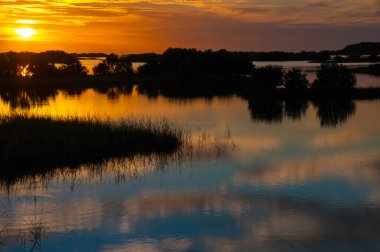 Louisiana 'da bataklıkta güzel bir gün batımı