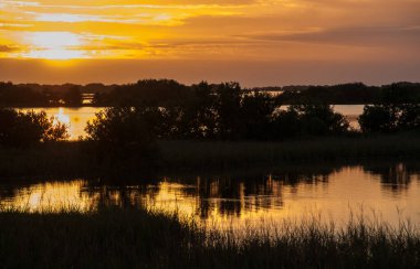 Louisiana 'da bataklıkta güzel bir gün batımı