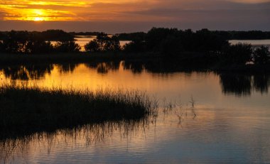 Louisiana 'da bataklıkta güzel bir gün batımı