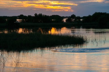 Louisiana 'da bataklıkta güzel bir gün batımı