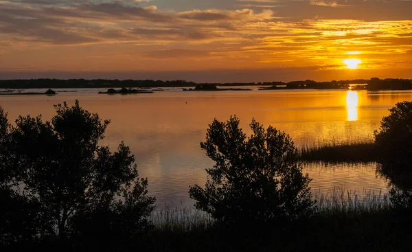 Prachtige zonsondergang boven het moeras in Louisiana — Stockfoto