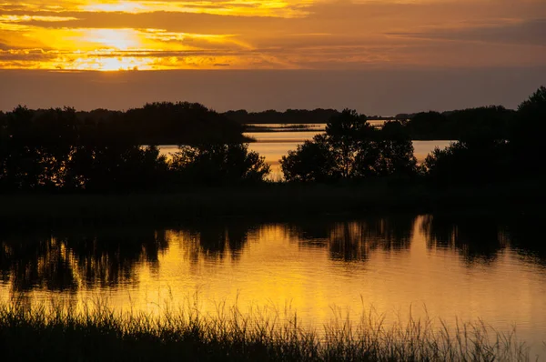 Krásný západ slunce nad bažinou v Louisianě — Stock fotografie