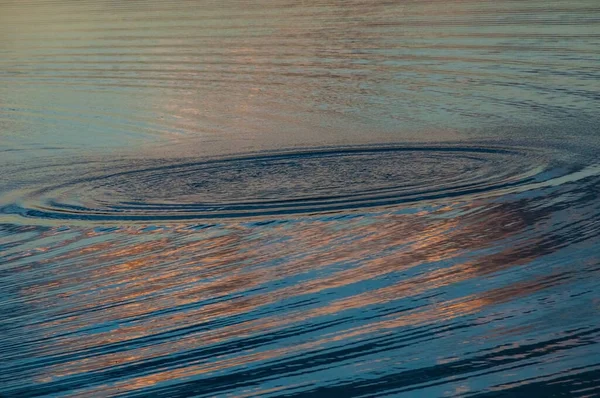 Cercles dans la nature dans le marais en Louisiane, États-Unis — Photo