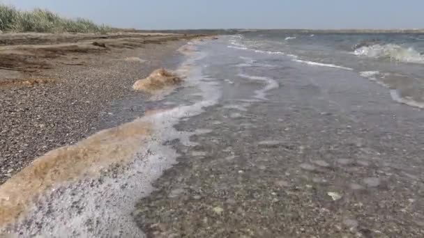 乌克兰提里古河口沙滩上的脏水 带有微藻的褐色泡沫 — 图库视频影像