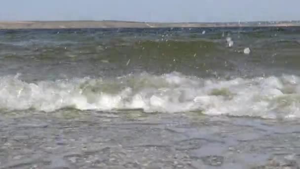 Agua Sucia Con Ondas Microalgas Van Hacia Cámara Saliva Arenosa — Vídeos de Stock