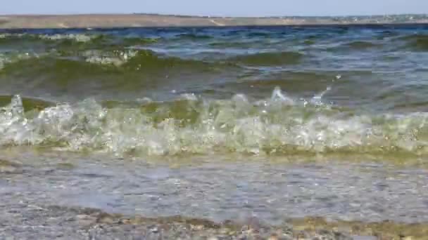 Agua Sucia Con Ondas Microalgas Van Hacia Cámara Saliva Arenosa — Vídeos de Stock