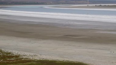 Üst Kuyalnik haliçlerinde tuz, kuru çamur, kırık alüvyon ve kıyıda tuza dayanıklı bitkiler. Kuyalnik Estuary, Ukrayna