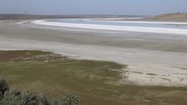Üst Kuyalnik haliçlerinde tuz, kuru çamur, kırık alüvyon ve kıyıda tuza dayanıklı bitkiler. Kuyalnik Estuary, Ukrayna