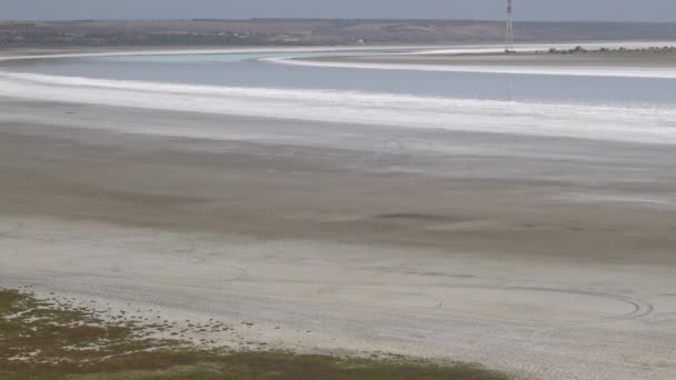 上部のKuyalnik河口の塩 乾燥した泥 海岸の耐塩性植物を割れました ウクライナのKuyalnik Estry — ストック動画