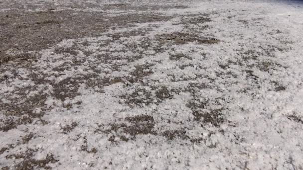 Crystallized Salt Muddy Bottom Upper Kuyalnitsky Estuary Close Kuyalnik Estuary — Stock Video