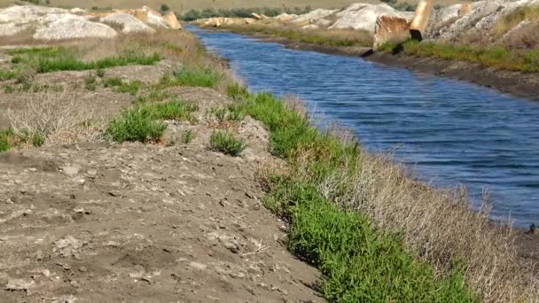 Canal Artificial Que Bloquea Camino Del Pequeño Río Big Kuyalnik — Vídeo de stock