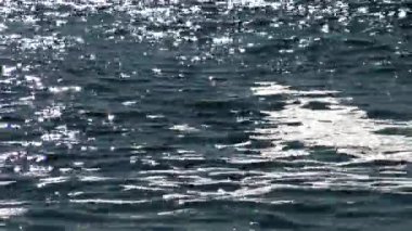 Suyun üzerinde güneş parlıyor. Denizde güneşin sudaki yansıması gibi. Güneşli tavşanlar ve yıldızlar. Karadeniz